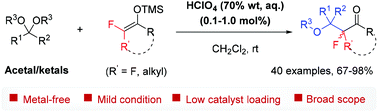 Graphical abstract: HClO4 catalysed aldol-type reaction of fluorinated silyl enol ethers with acetals or ketals toward fluoroalkyl ethers