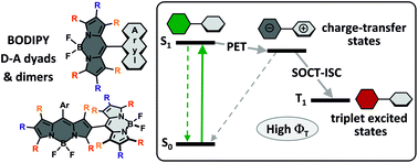Graphical abstract: Heavy-atom-free BODIPY photosensitizers with intersystem crossing mediated by intramolecular photoinduced electron transfer
