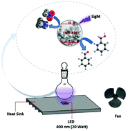Graphical abstract: Chemoselective photocatalytic oxidation of alcohols to aldehydes and ketones by nitromethane on titanium dioxide under violet 400 nm LED light irradiation