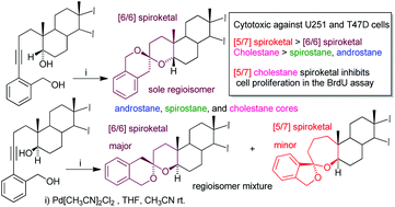Graphical abstract: Palladium catalyzed synthesis of benzannulated steroid spiroketals
