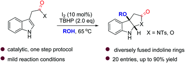 Graphical abstract: One-step assembly of alkoxypyrroloindolines via iodine-catalyzed alkoxycyclization of indole derivatives