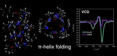 Graphical abstract: Elusive π-helical peptide foldamers spotted by chiroptical studies