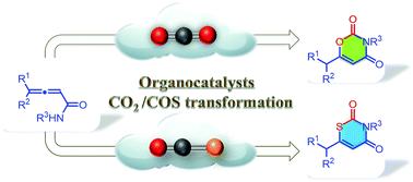 Graphical abstract: Access to 1,3-oxazine-2,4-diones/1,3-thiazine-2,4-diones via organocatalytic CO2/COS incorporation into allenamides