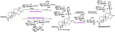 Graphical abstract: The first total synthesis of rebaudioside R