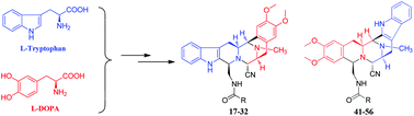 Graphical abstract: Design, synthesis and cytotoxicity of novel hexacyclic saframycin–ecteinascidin analogs