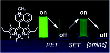 Graphical abstract: Multi-state amine sensing by electron transfers in a BODIPY probe