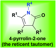 Graphical abstract: The reticent tautomer: exploiting the interesting multisite and multitype reactivity of 4-pyrrolin-2-ones