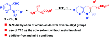 Graphical abstract: Fluorinated alcohol mediated N,N′-dialkylation of amino acid derivatives via cascade [1,5]-hydride transfer/cyclization for concise synthesis of tetrahydroquinazoline