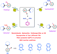 Graphical abstract: Hypervalent iodine promoted ortho diversification: 2-aryl benzimidazole, quinazoline and imidazopyridine as directing templates