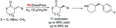 Graphical abstract: Rhodium-catalyzed asymmetric hydrogenation of exocyclic α,β-unsaturated carbonyl compounds
