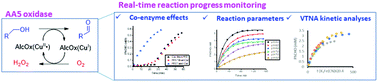Graphical abstract: Determination of biocatalytic parameters of a copper radical oxidase using real-time reaction progress monitoring