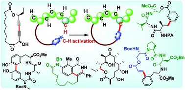 Graphical abstract: Macrocyclization via C–H functionalization: a new paradigm in macrocycle synthesis