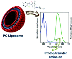 Graphical abstract: Proton transfer in fluorescent secondary amines: synthesis, photophysics, theoretical calculation and preparation of photoactive phosphatidylcholine-based liposomes