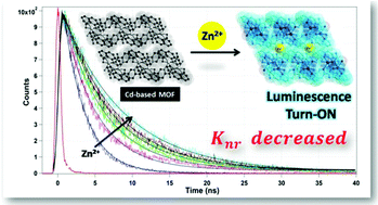 Graphical abstract: Effect of charge transfer and structural rigidity on divergent luminescence response of a metal organic framework towards different metal ions: luminescence lifetime decay experiments and DFT calculations