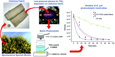 Graphical abstract: Photocatalytic inactivation of Escherichia coli bacteria in water using low pressure plasma deposited TiO2 cellulose fabric