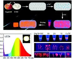 Graphical abstract: In situ fabrication of a luminescent copper nanocluster/eggshell membrane composite and its application in visual detection of Ag+ ions, light-emitting diodes and surface patterning