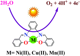Graphical abstract: Homogeneous photochemical water oxidation with metal salophen complexes in neutral media