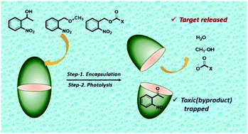 Graphical abstract: Supramolecular photochemistry of encapsulated caged ortho-nitrobenzyl triggers