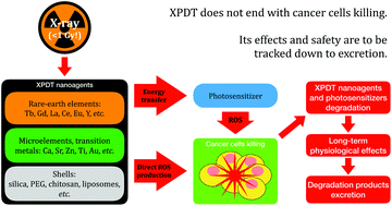Graphical abstract: A mini-review of X-ray photodynamic therapy (XPDT) nonoagent constituents’ safety and relevant design considerations