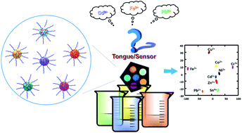Graphical abstract: Fluorescent electronic tongue based on soluble conjugated polymeric nanoparticles for the discrimination of heavy metal ions in aqueous solution