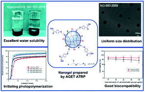 Graphical abstract: Design of photoinitiator-functionalized hydrophilic nanogels with uniform size and excellent biocompatibility