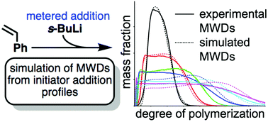 Graphical abstract: Predictive design of polymer molecular weight distributions in anionic polymerization