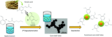 Graphical abstract: Ferulic acid-based reactive core–shell latex by seeded emulsion polymerization