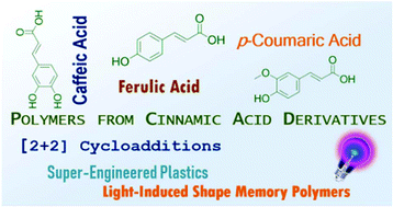 Graphical abstract: Cinnamic acid derivatives as promising building blocks for advanced polymers: synthesis, properties and applications