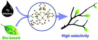 Graphical abstract: Living (co)polymerization of ethylene and bio-based furfuryl acrylate using dibenzobarrelene derived α-diimine palladium catalysts