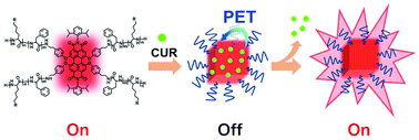 Graphical abstract: A perylenediimide-based nanocarrier monitors curcumin release with an “off–on” fluorescence switch