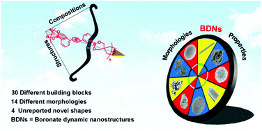 Graphical abstract: Morphology control and property design of boronate dynamic nanostructures