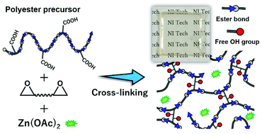 Graphical abstract: Synthesis of amorphous low Tg polyesters with multiple COOH side groups and their utilization for elastomeric vitrimers based on post-polymerization cross-linking