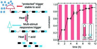 Graphical abstract: Multi-stimuli responsive trigger for temporally controlled depolymerization of self-immolative polymers