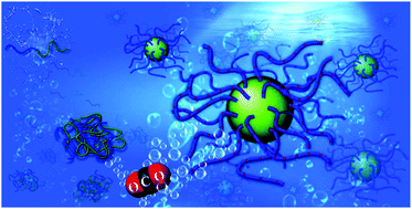 Graphical abstract: Dual CO2/temperature-responsive diblock copolymers confer controlled reversible emulsion behavior