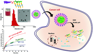 Graphical abstract: Tumor-targeting intracellular drug delivery based on dual acid/reduction-degradable nanoassemblies with ketal interface and disulfide core locations