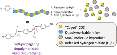 Graphical abstract: Self-amplified depolymerization of oligo(thiourethanes) for the release of COS/H2S