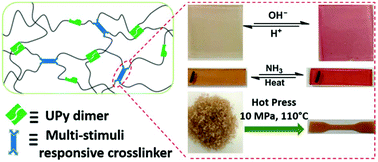 Graphical abstract: Bio-inspired self-healing polyurethanes with multiple stimulus responsiveness