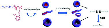 Graphical abstract: Self-crosslinking assemblies with tunable nanostructures from photoresponsive polypeptoid-based block copolymers