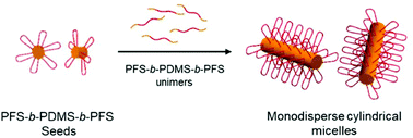 Graphical abstract: Low length dispersity fiber-like micelles from an A–B–A triblock copolymer with terminal crystallizable poly(ferrocenyldimethylsilane) segments via living crystallization-driven self-assembly