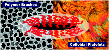 Graphical abstract: Polymer-brush-decorated colloidal platelets: precision synthesis and self-assembly