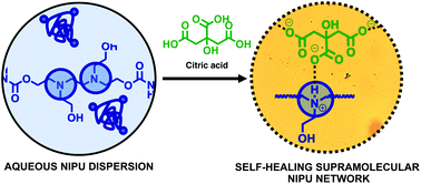 Graphical abstract: Synthesis of self-healable waterborne isocyanate-free poly(hydroxyurethane)-based supramolecular networks by ionic interactions