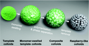 Graphical abstract: Polymeric raspberry-like particles via template-assisted polymerisation