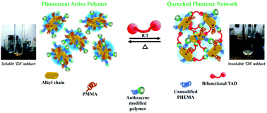 Graphical abstract: A new healable polymer material based on ultrafast Diels–Alder ‘click’ chemistry using triazolinedione and fluorescent anthracyl derivatives: a mechanistic approach