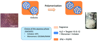 Graphical abstract: Encapsulation of lipophilic fragrance by polymerization of the intermediate aqueous phase of an oil-in-water-in-oil (O/W/O) double emulsion