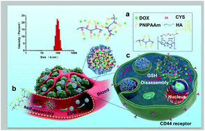 Graphical abstract: Poly(N-isopropylacrylamide) derived nanogels demonstrated thermosensitive self-assembly and GSH-triggered drug release for efficient tumor Therapy