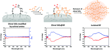 Graphical abstract: Chiroptical phenolic resins grown on chiral silica-bonded amine residues