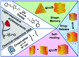 Graphical abstract: Light-responsive arylazopyrazole-based hydrogels: their applications as shape-memory materials, self-healing matrices and controlled drug release systems