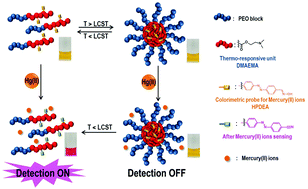 Graphical abstract: Thermo-tunable colorimetric detection of mercury(ii) ions driven by the temperature-dependent assembly and disassembly of a block copolymer