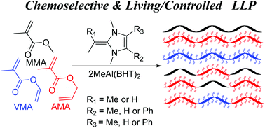 Graphical abstract: Chemoselective and living/controlled polymerization of polar divinyl monomers by N-heterocyclic olefin based classical and frustrated Lewis pairs