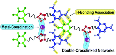 Graphical abstract: Construction and morphology of non-covalently double-crosslinked supramolecular polymer networks